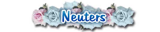 Neuters
